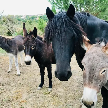 住宿加早餐酒店 Les D Hotes De La Maison Melomane 3*