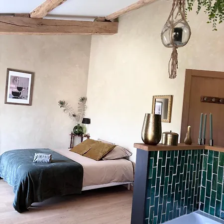 Les D Hotes De La Maison Melomane 住宿加早餐酒店 Saussens